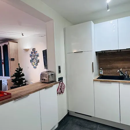 Les 2 Alpes - 6 Pers, Balcon Ensoleille, Parking Disponible - Fr-1-546-18 Apartament